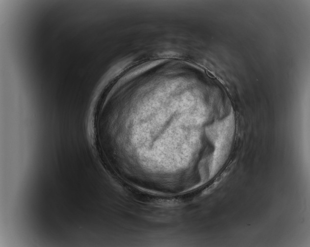 X0000099980245200806131405