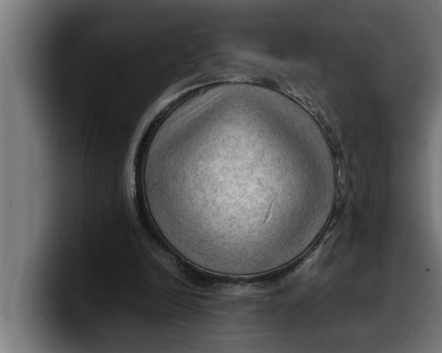 X0000099980246200806131405