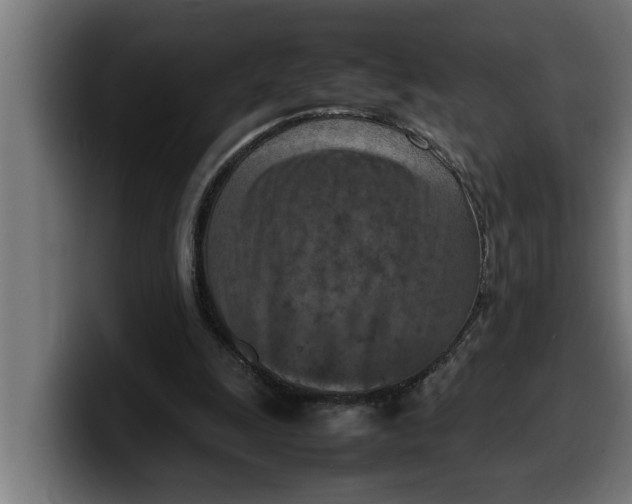 X0000099980247200806131405