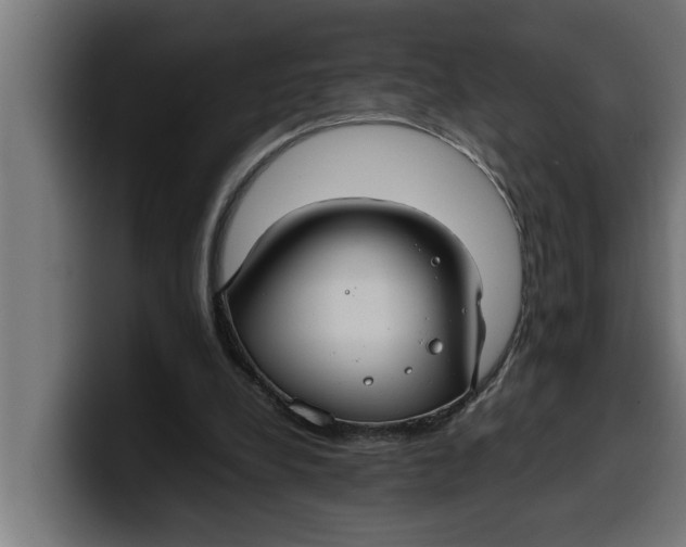 X0000099980248200806131405