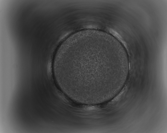 X0000099980249200806131405