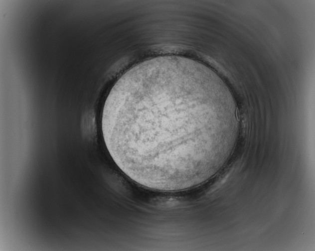 X0000099980254200806131405