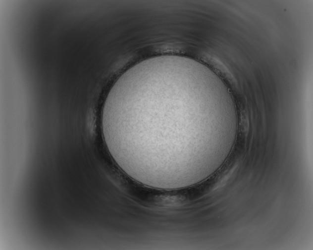 X0000099980255200806131405