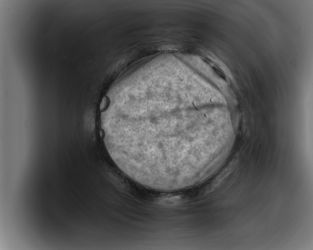 X0000099980257200806131405