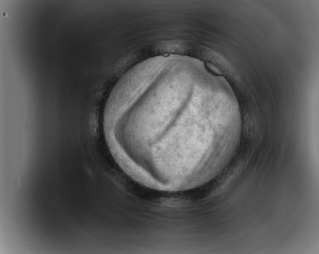 X0000099980259200806131405