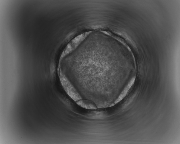 X0000099980260200806131405