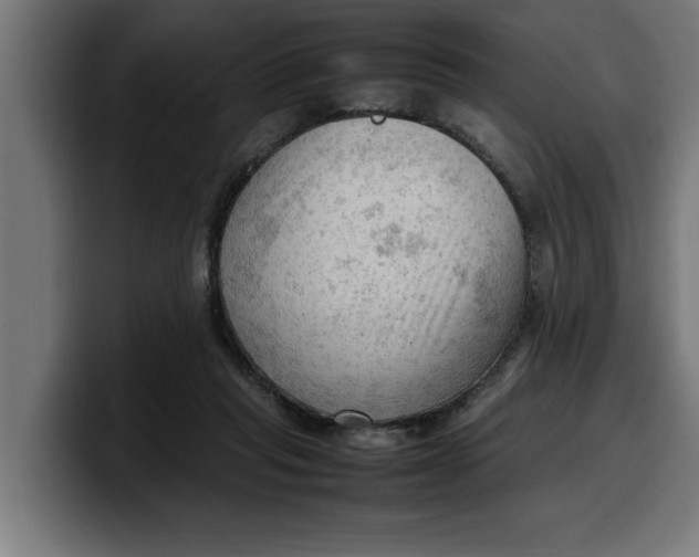 X0000099980261200806131405