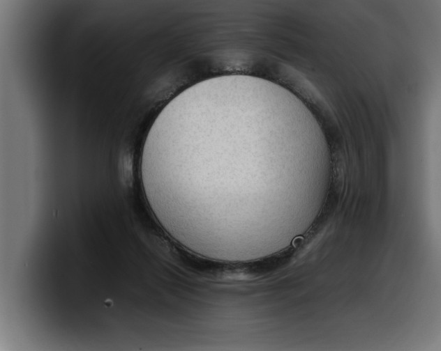 X0000099980262200806131405