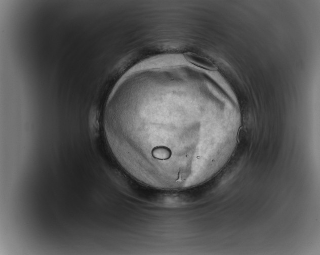 X0000099980264200806131405