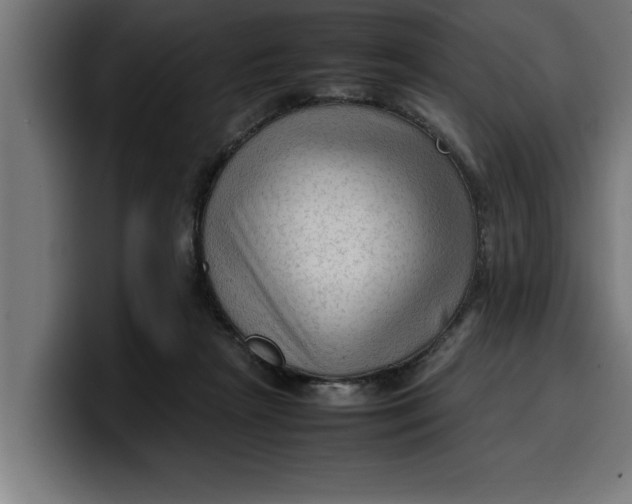 X0000099980265200806131405