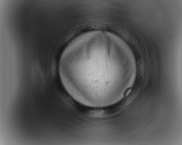 X0000099980266200806131405