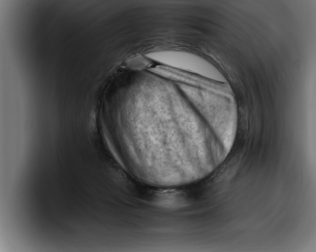 X0000099980269200806131405