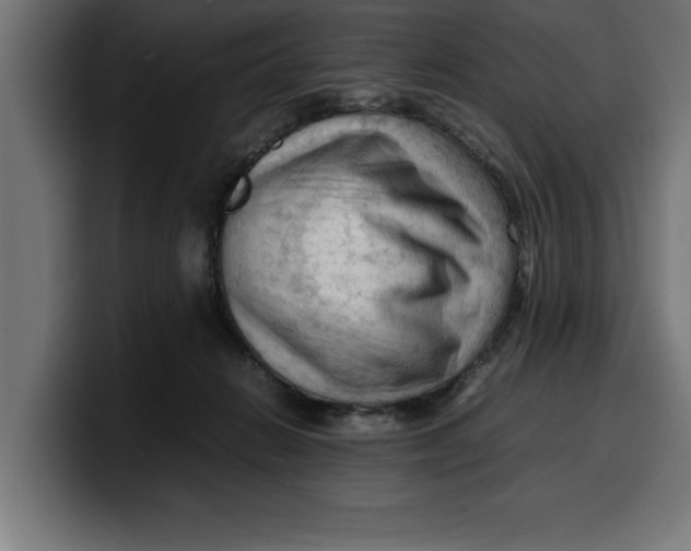 X0000099980270200806131405