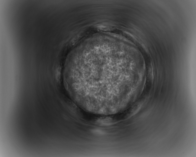 X0000099980271200806131405