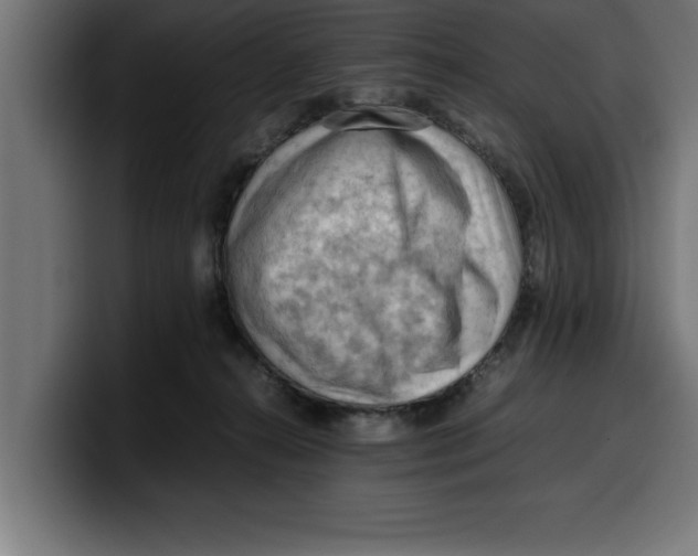 X0000099980272200806131405