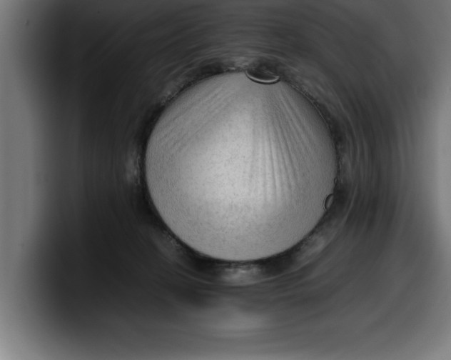 X0000099980274200806131405