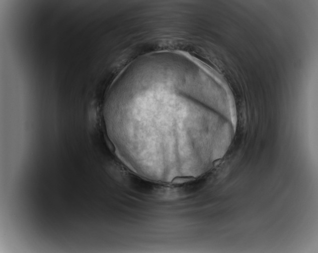 X0000099980276200806131405