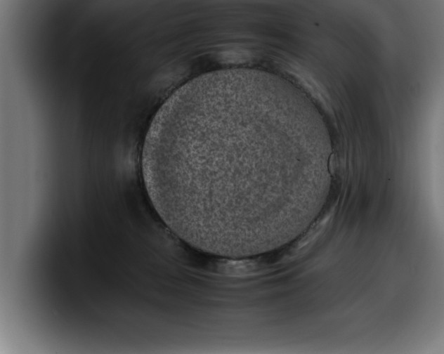 X0000099980277200806131405