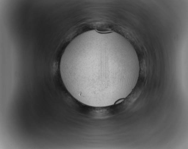 X0000099980278200806131405