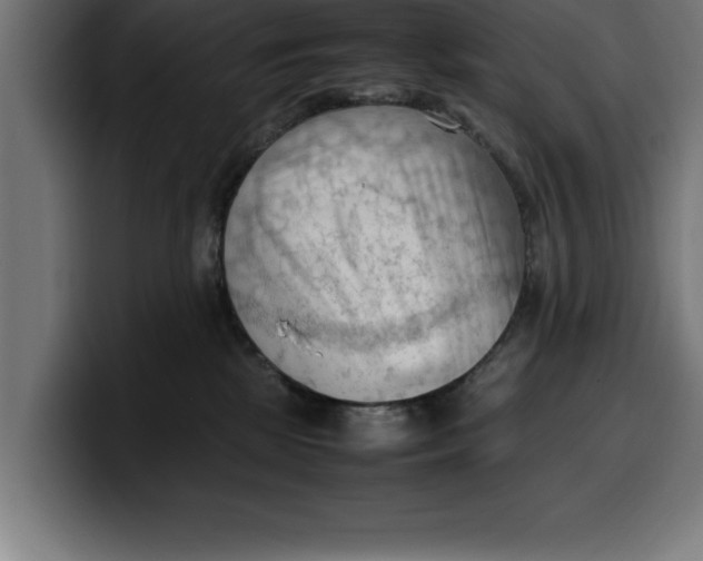 X0000099980281200806131405