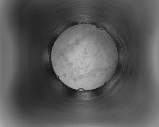 X0000099980282200806131405