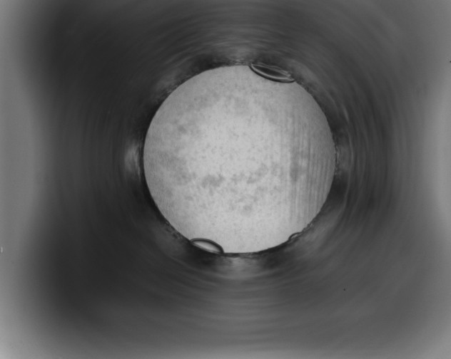 X0000099980286200806131406