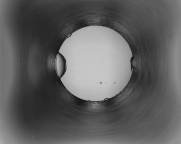 X0000099980287200806131406