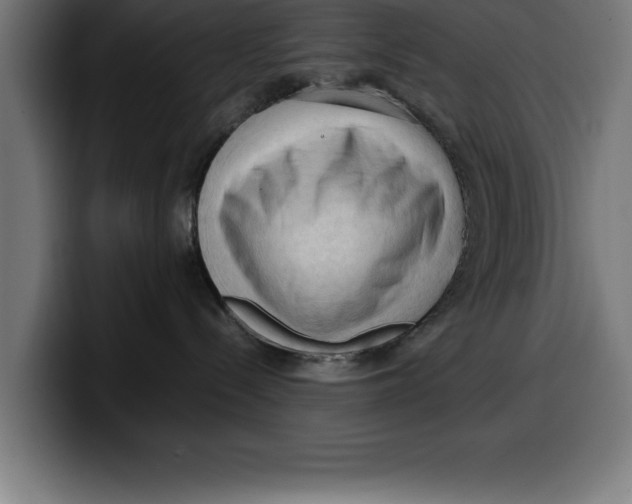 X0000099980288200806131406