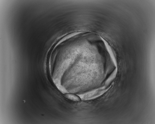 X0000099980290200806131405