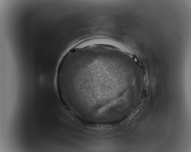 X0000099980292200806131405