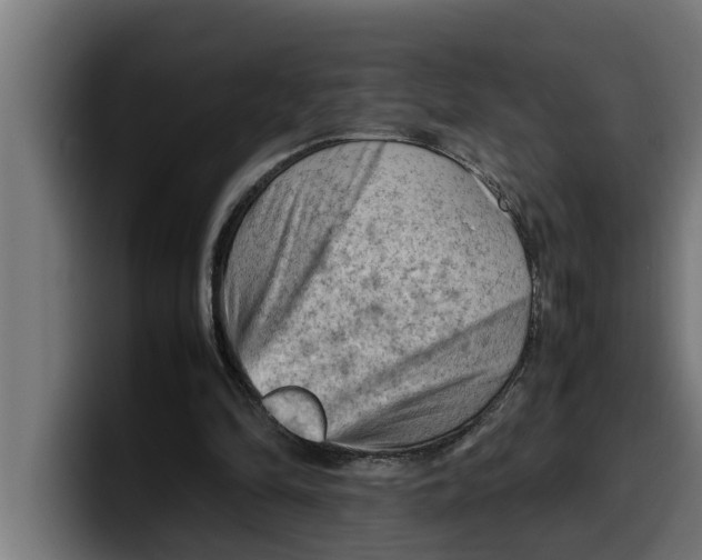 X0000099980294200806131405