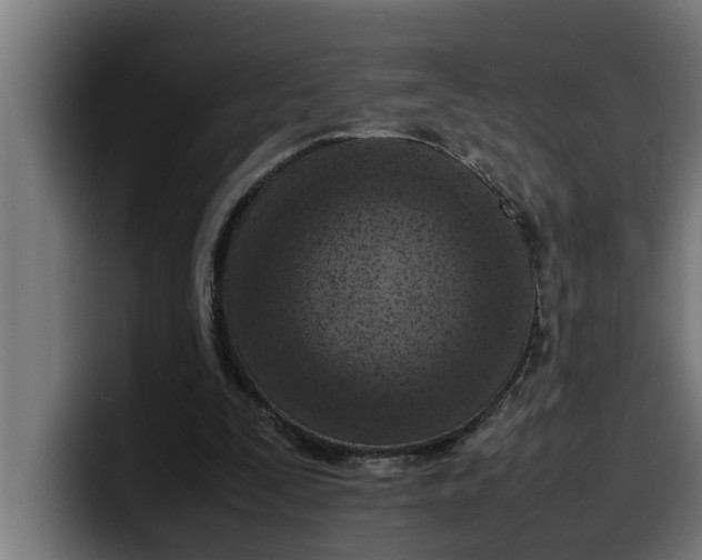 X0000099980295200806131405