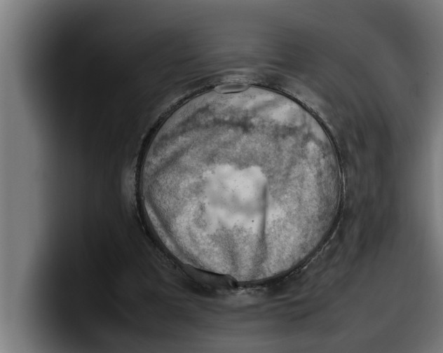 X0000099980297200806131405