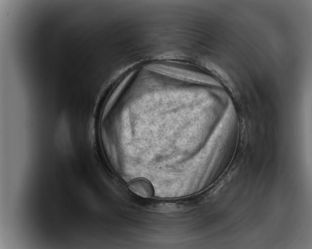 X0000099980298200806131405