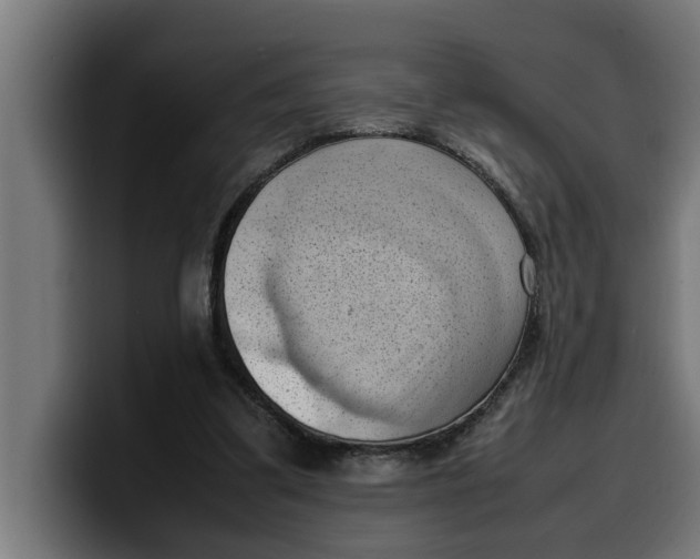 X0000099980299200806131405