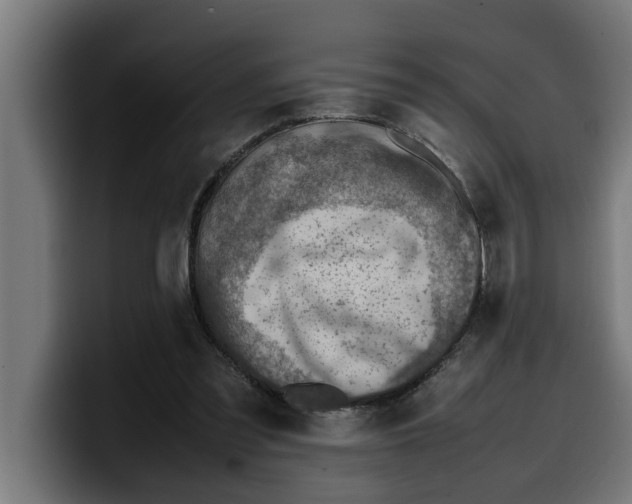 X0000099980301200806131405