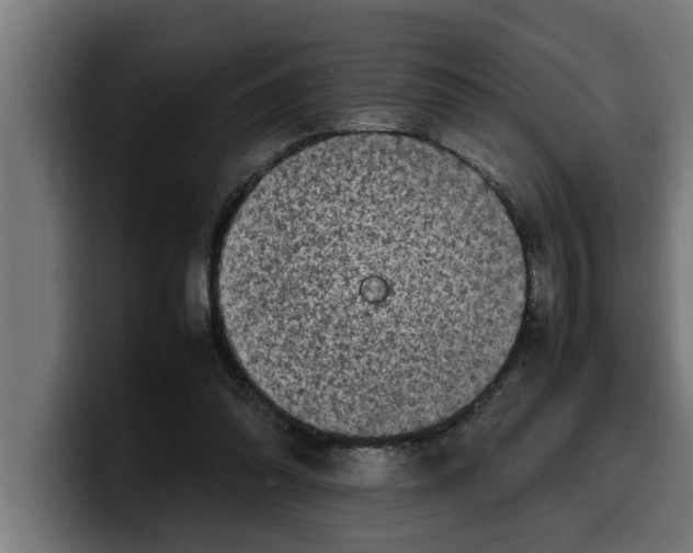 X0000099980302200806131405