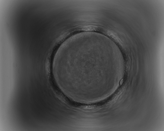 X0000099980303200806131405