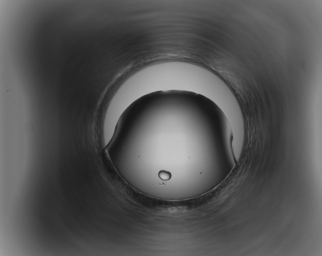 X0000099980304200806131405