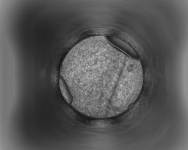 X0000099980305200806131405