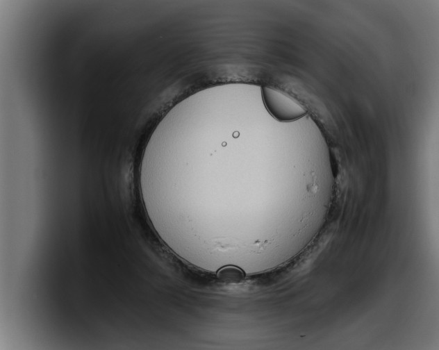 X0000099980306200806131405