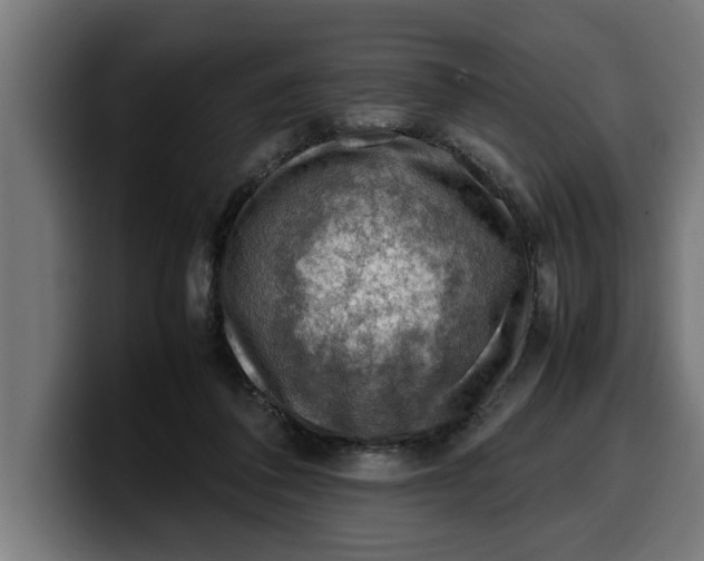 X0000099980308200806131405