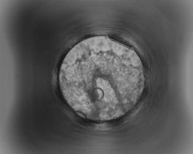 X0000099980309200806131405