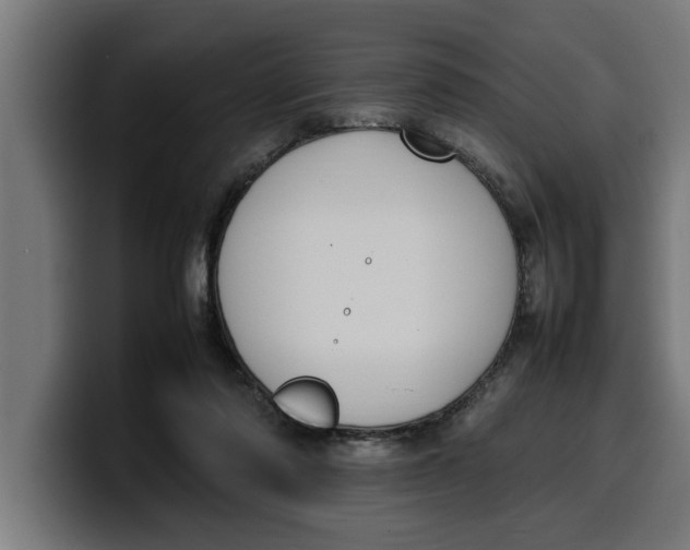 X0000099980310200806131405