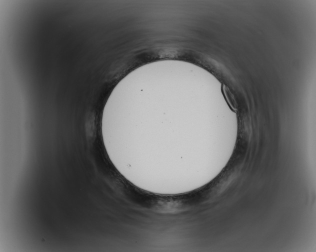 X0000099980311200806131405