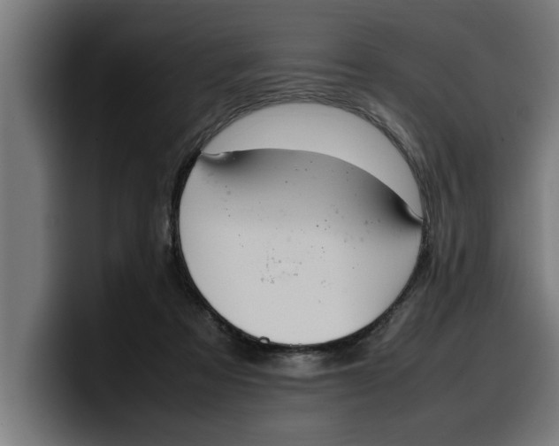 X0000099980313200806131405