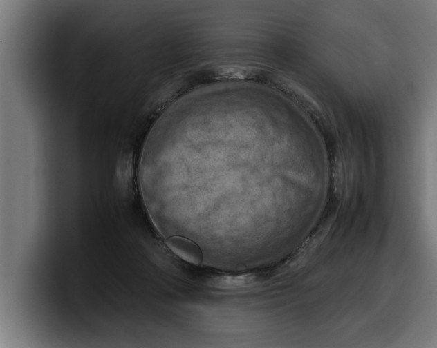 X0000099980314200806131405