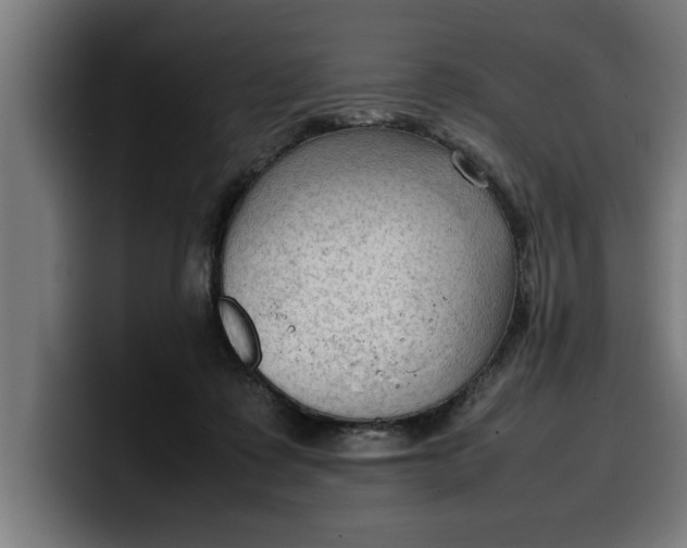 X0000099980315200806131405