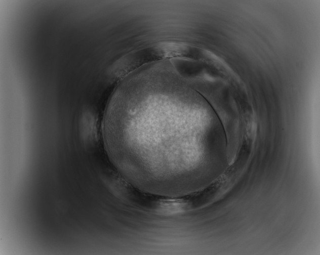 X0000099980316200806131404