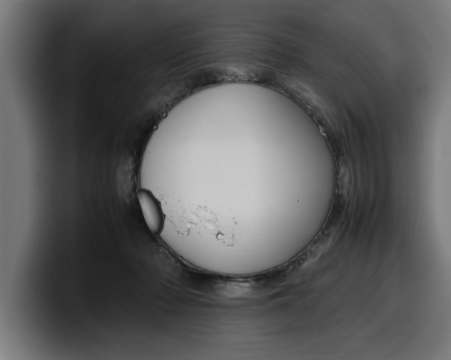 X0000099980318200806131404